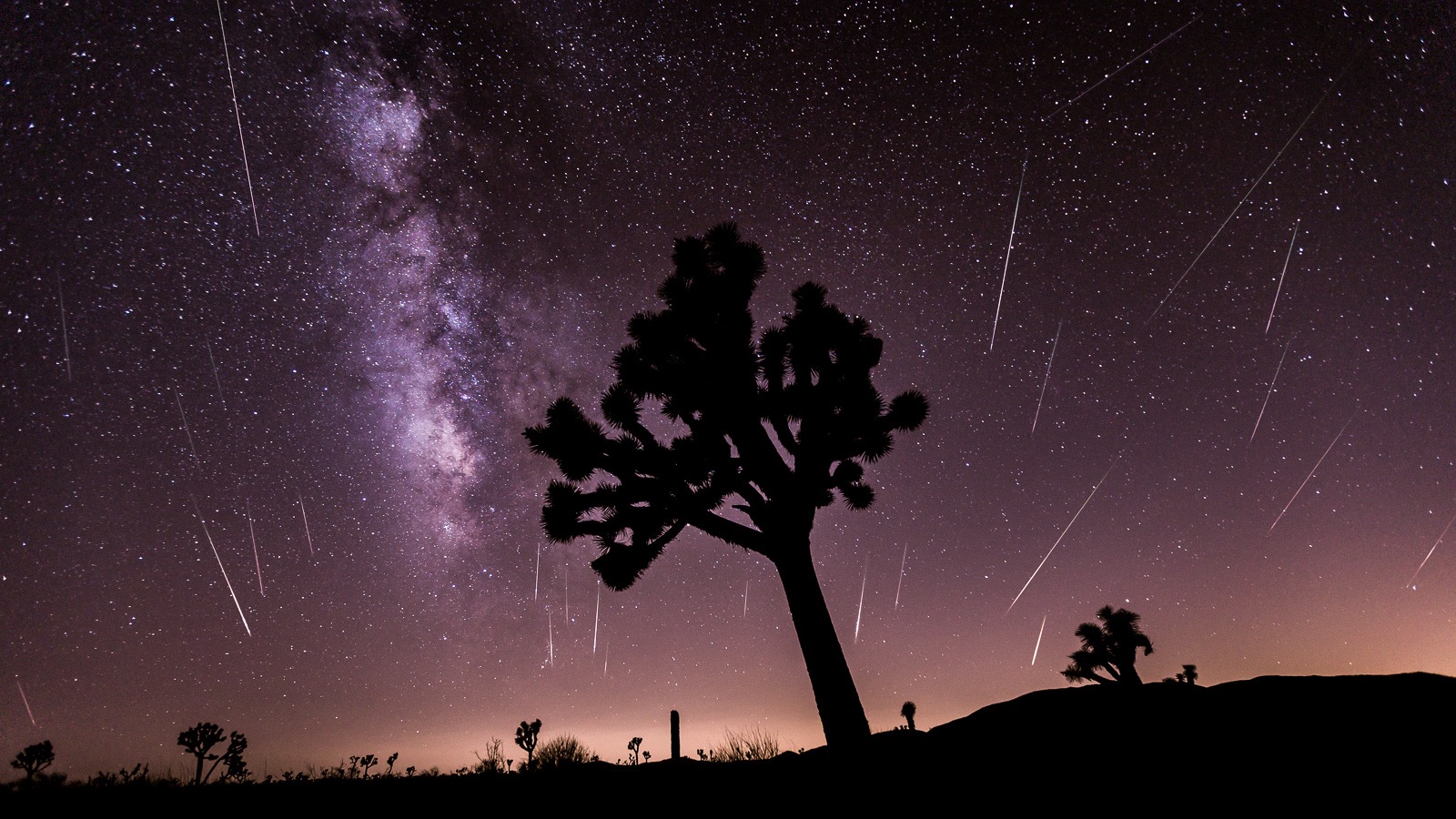 Three Days of Perseid Meteor Shower in 60 Seconds